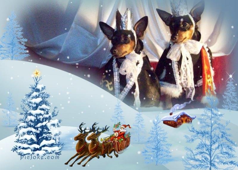 Мышиные короли поздравляют всех с Новым 2010 годом!