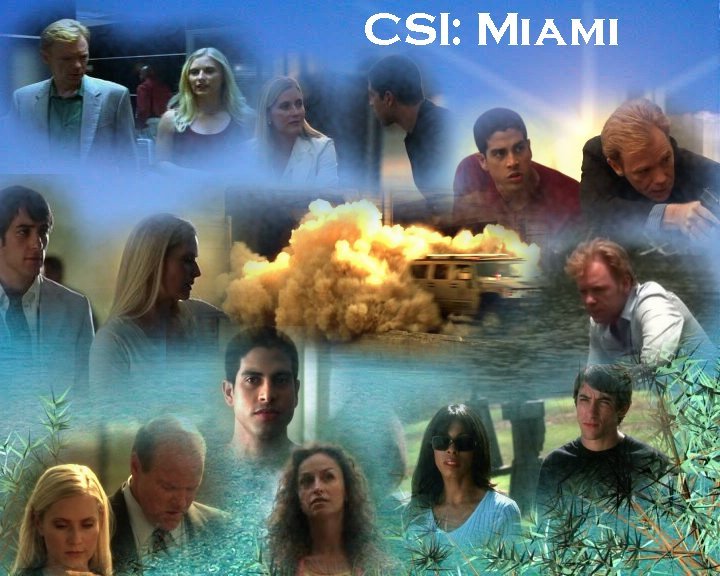C.S.I. :Miami