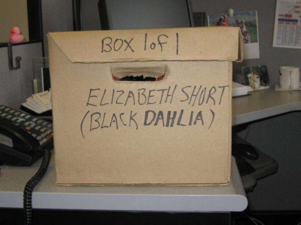 Black Dahlia's Case