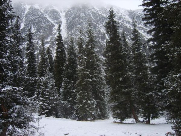 Горный лес за окраиной Бишкека.