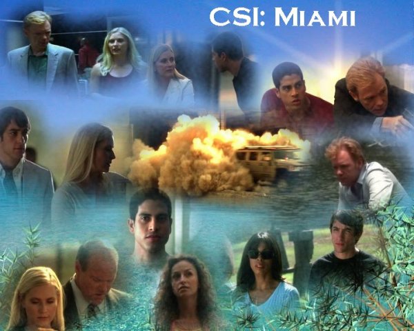Подробнее о "C.S.I. :Miami"