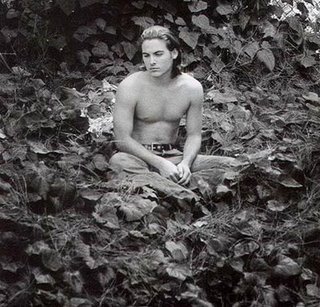 kevin zegers forest