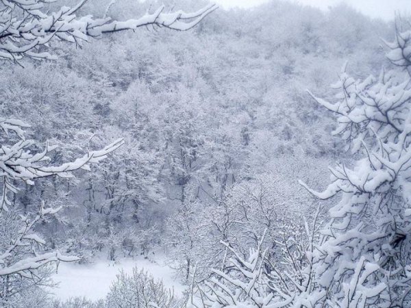 Зима в Имерети.