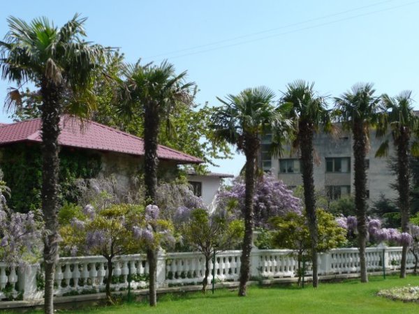 Никитский ботанический сад в Ялте