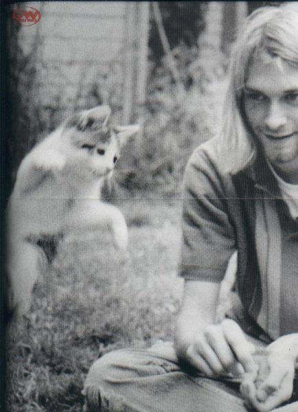 kurt cobain&cat