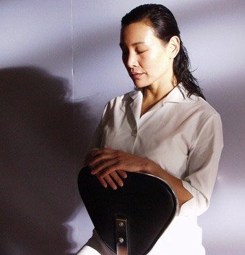 Джоан Чэнь "И солнце снова взойдет" (2007)