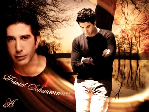 David Schwimmer