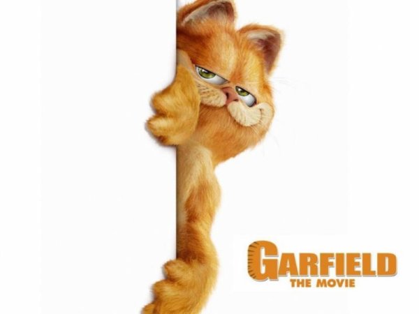 Garfield   3