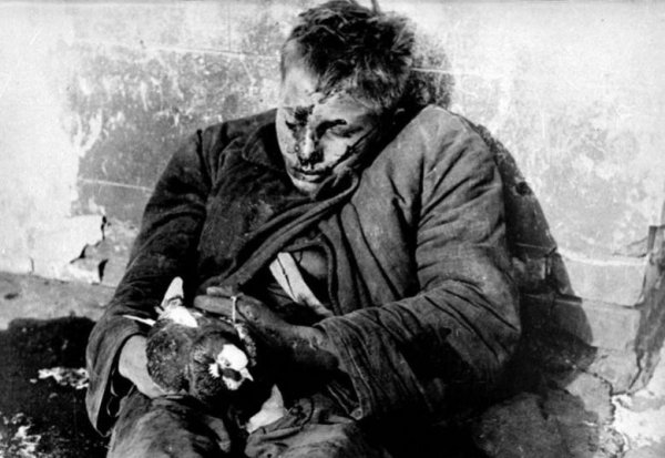 Убитый мальчик Витя Черевичкин с голубем в руках.