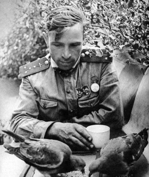 Советский летчик кормит голубей в минуты отдыха