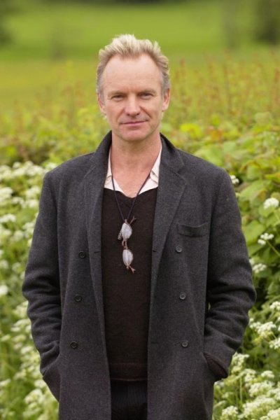 Sting