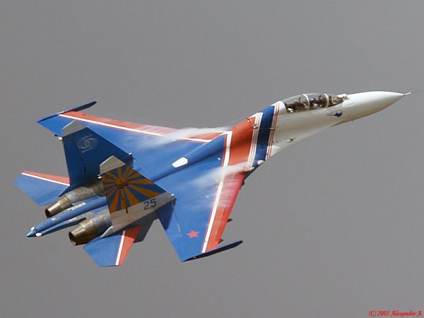 su27 vityazi maks2005