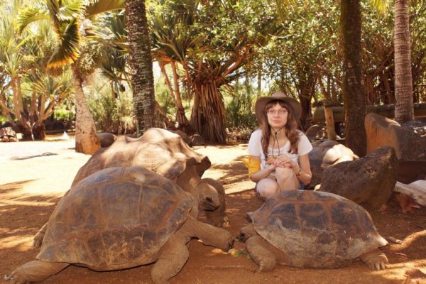 Гигантские черепахи альдабра (сейшельские), парк Ла Ваниль, Маврикий.