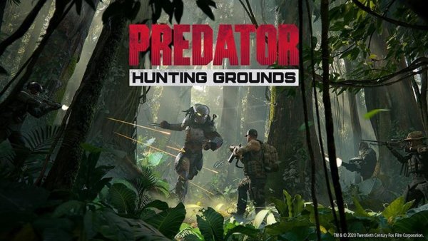 predator hunting grounds desktop wallpaper 01 800x450