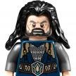 Thorin Oakenshield