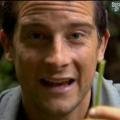 Bear Grylls